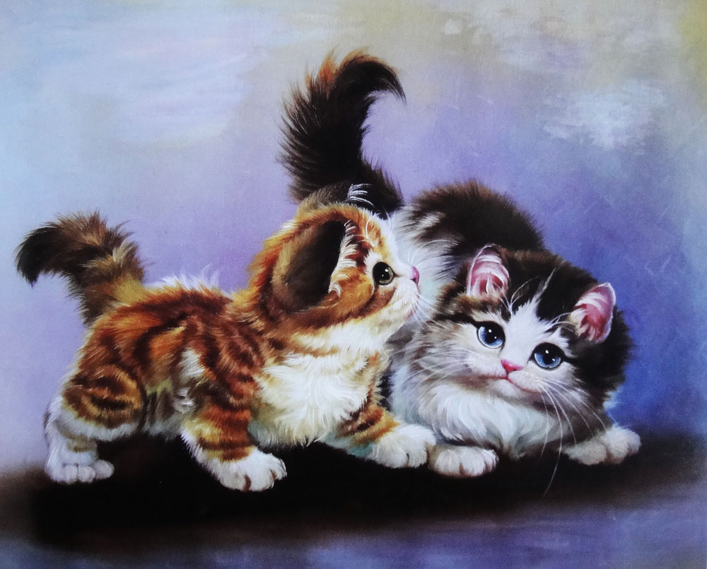 猫图片油画(油画猫图片简单初学)