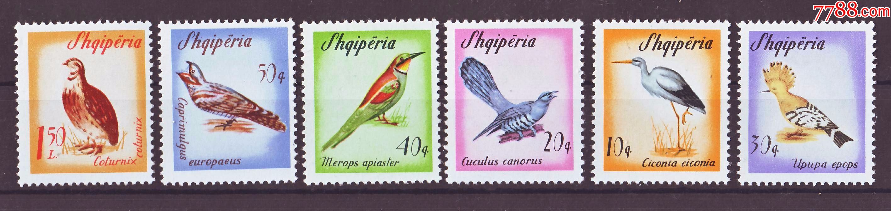 邮票鸟(中国邮政两个鸟的邮票)