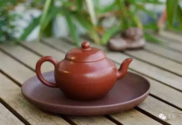 紫砂泡什么茶(乌龙茶属于什么茶)
