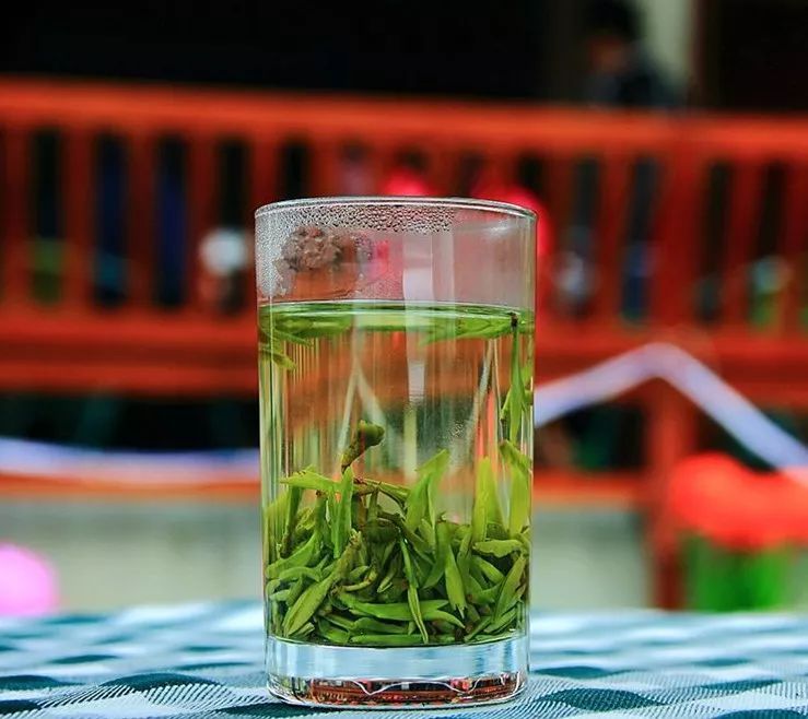 紫砂壶泡绿茶(紫砂杯怎么泡茶)