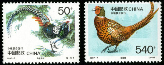 中国鸟邮票(普31中国鸟邮票)