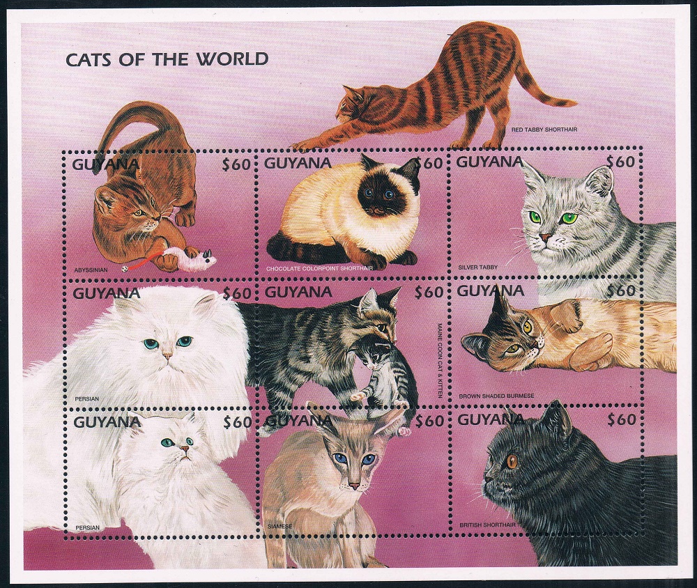 猫邮票(猫和老鼠邮票在哪用)